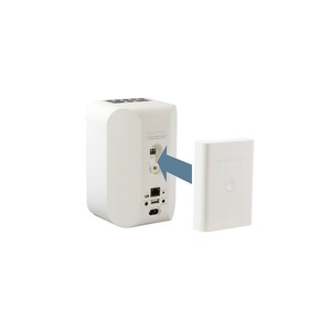 Портативная акустика Bluesound BP100 white