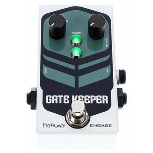 Гитарная педаль эффектов/ примочка Pigtronix FNG Gatekeeper Noise Gate