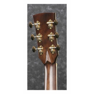 Акустическая гитара IBANEZ AVD80-NT