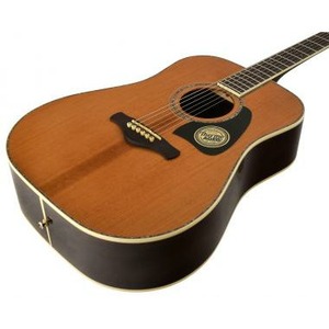 Акустическая гитара IBANEZ AVD80-NT