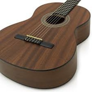Классическая гитара GREG BENNETT CNG1/N