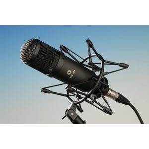 Микрофон студийный конденсаторный Октава МК-319-Ч
