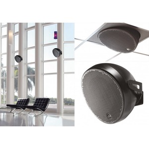 Акустика подвесная трансляционная DAS Audio OVI-12