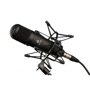 Микрофон студийный конденсаторный Октава МК-419-Ч