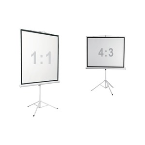 Экран для проектора Digis DSKD-4302