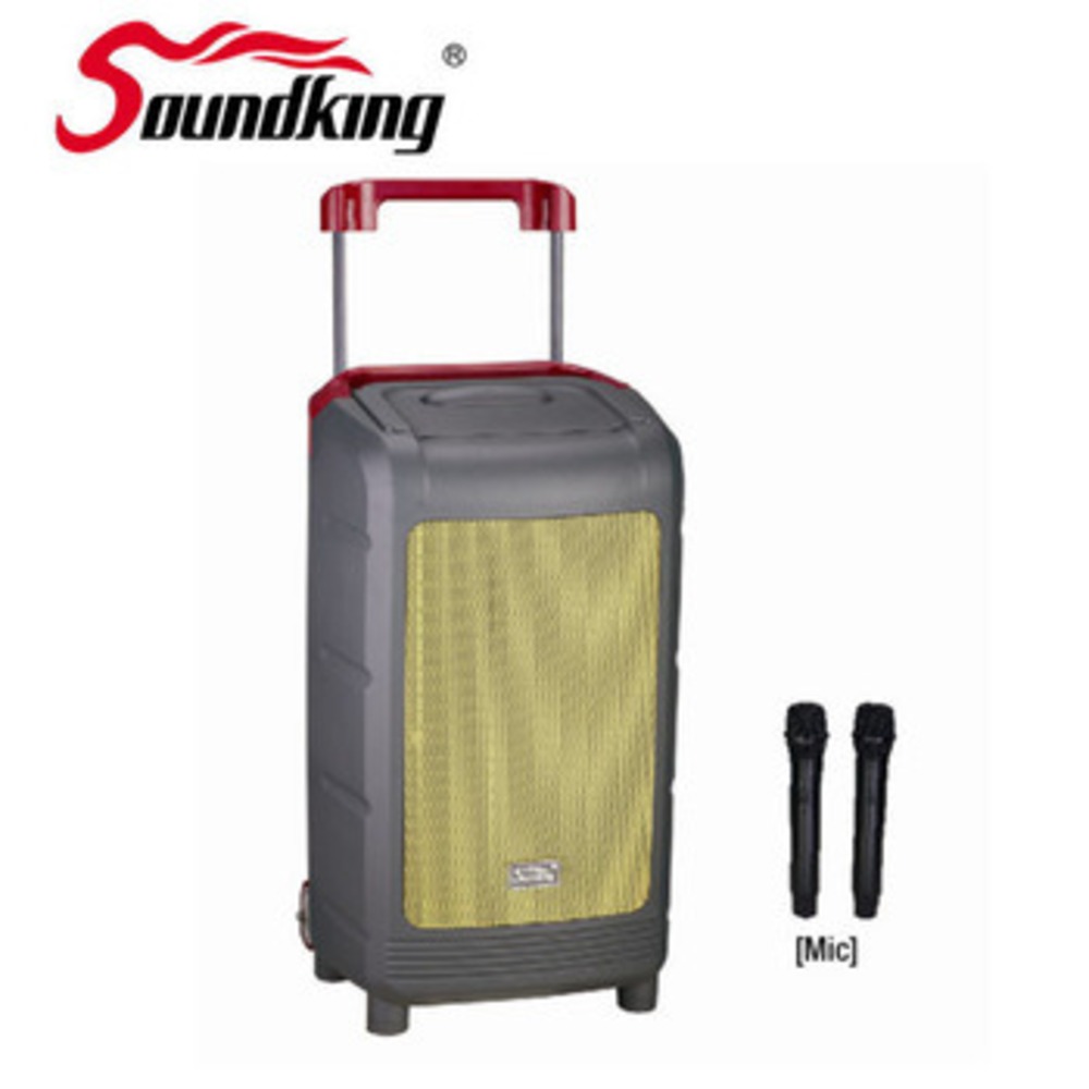 Портативная акустическая система Soundking WI08D-1
