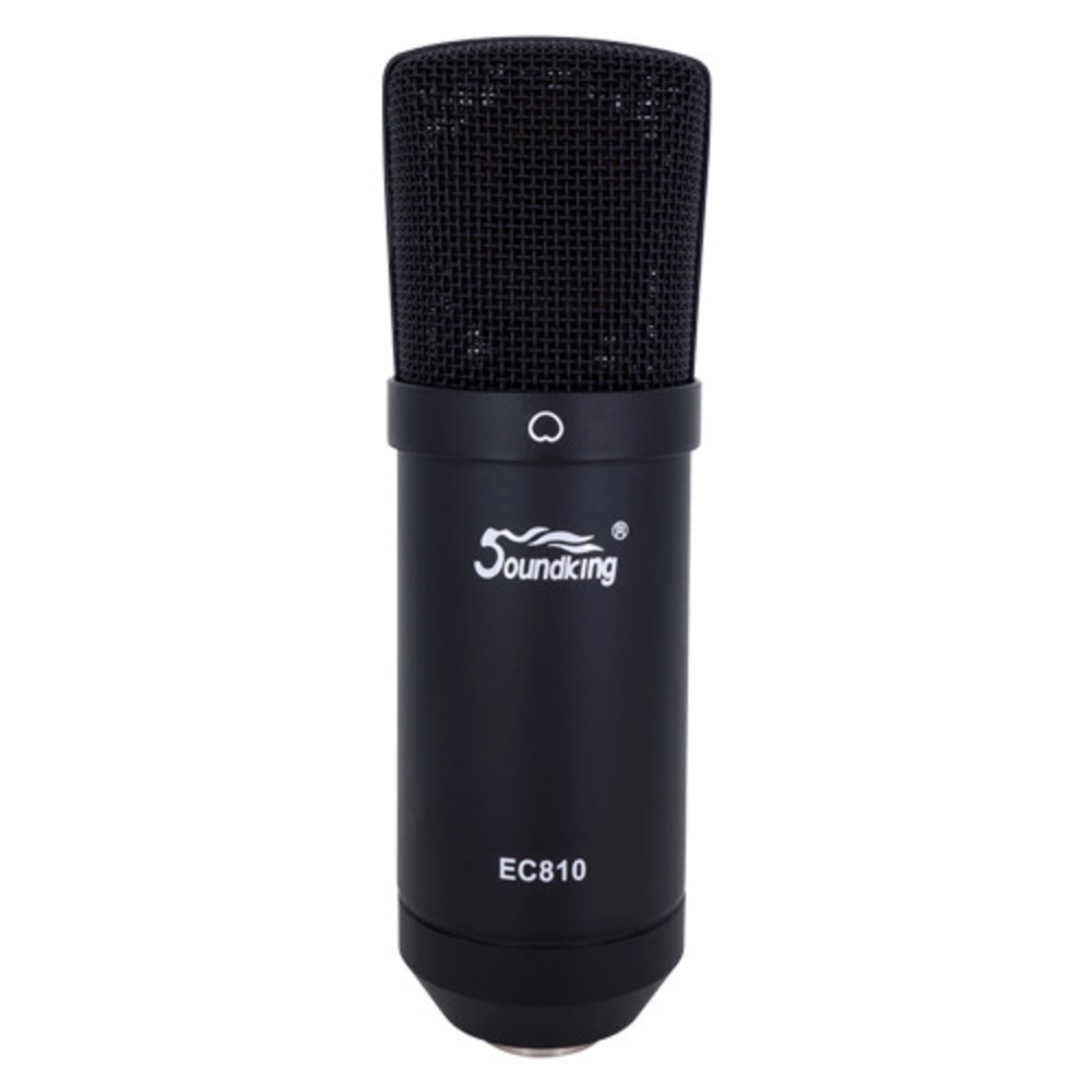 Микрофон студийный конденсаторный Soundking EC810