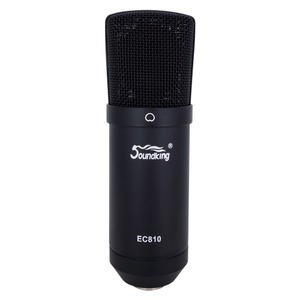 Микрофон студийный конденсаторный Soundking EC810