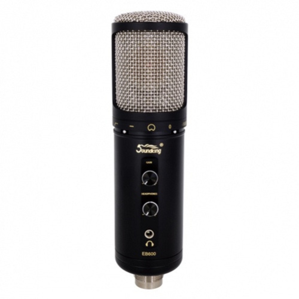 Микрофон студийный конденсаторный Soundking EB600