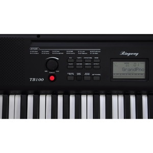 Цифровой синтезатор Ringway TB100