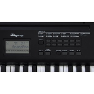 Цифровой синтезатор Ringway TB100