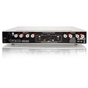 Усилитель мощности PS Audio Stellar Amplifier S300 Silver