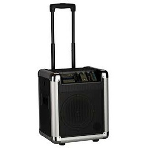 Портативная АС Soundking PA8M