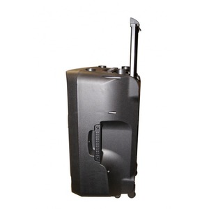 Портативная АС Soundking WJ12A