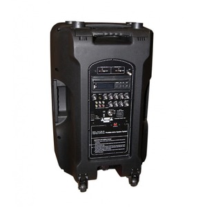 Портативная АС Soundking WJ12A