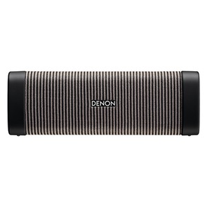 Портативная акустика Denon Envaya DSB-50 Grey
