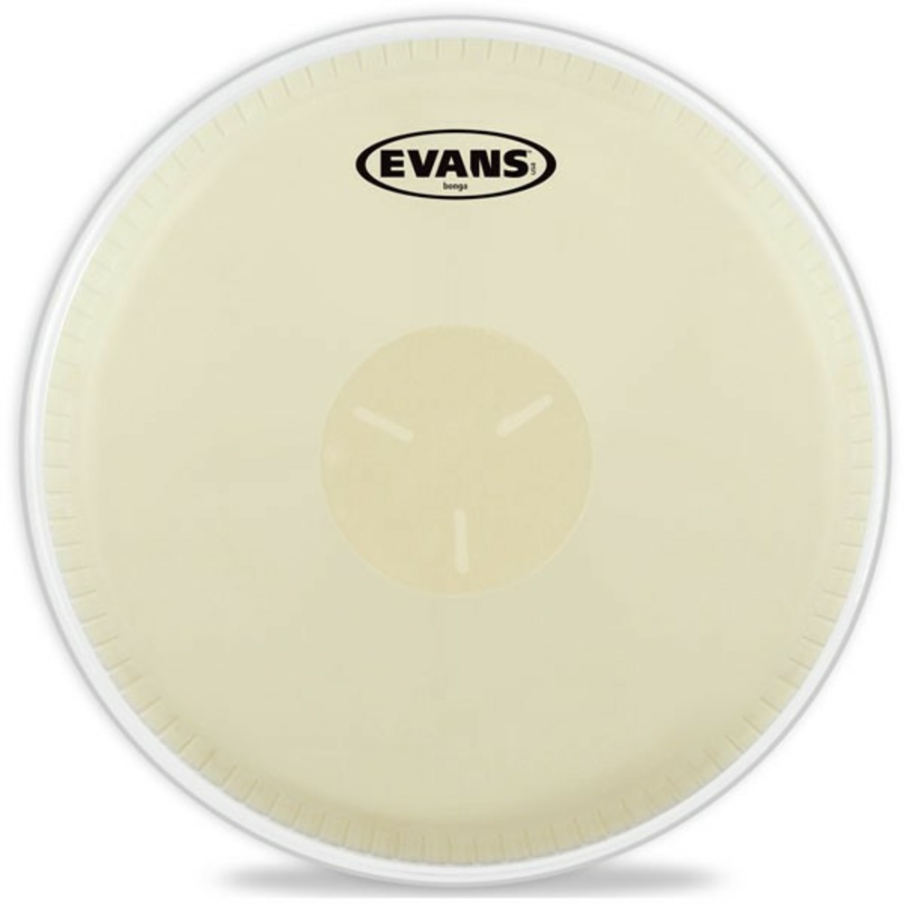 Пластик для барабана Evans EC1175