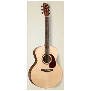 Акустическая гитара Simon & Patrick 33737 Woodland Pro MiniJumbo Spruce HG