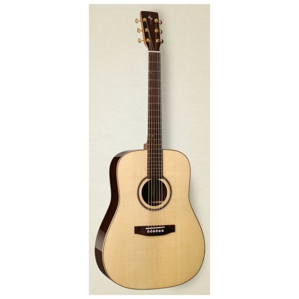 Акустическая гитара Simon & Patrick 40483 Showcase Rosewood CH HG DLX TRIC