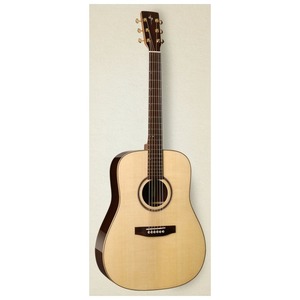Акустическая гитара Simon & Patrick 40483 Showcase Rosewood CH HG DLX TRIC