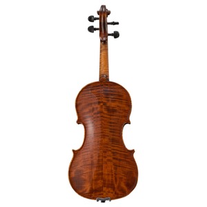 Скрипка Strunal 337W-4/4