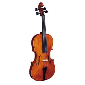 Скрипка Strunal 3/9w-41