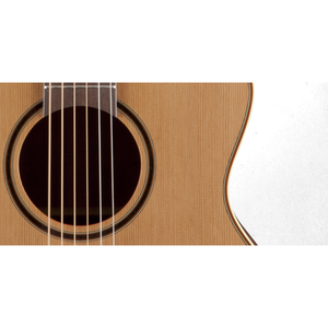 Электроакустическая гитара Takamine PRO SERIES 3 P3MC