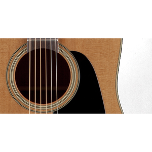 Электроакустическая гитара Takamine PRO SERIES 1 P1DC