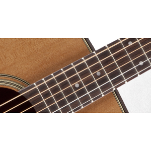 Электроакустическая гитара Takamine PRO SERIES 1 P1DC