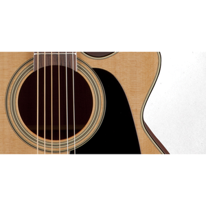 Электроакустическая гитара Takamine PRO SERIES 1 P1NC