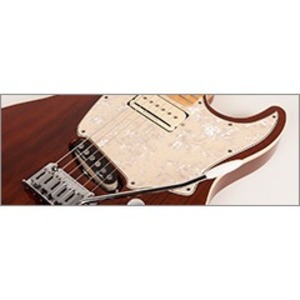 Электрогитара Godin 41077 Session Custom Classic LTD Maho HG RN