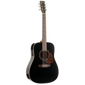 Электроакустическая гитара NORMAN Protege B18 Cedar Black Presys