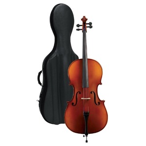 Виолончель Gewa Cello Outfit Europe 4/4
