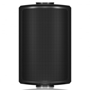Акустика всепогодная трансляционная Tannoy AMS 5DC