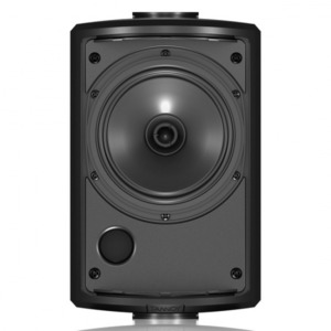 Акустика всепогодная трансляционная Tannoy AMS 5DC