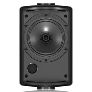 Акустика всепогодная трансляционная Tannoy AMS 5DC