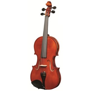 Скрипка Strunal 333w-4/4