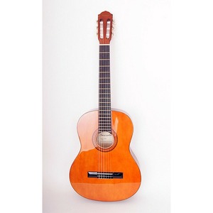 Классическая гитара Naranda CG120
