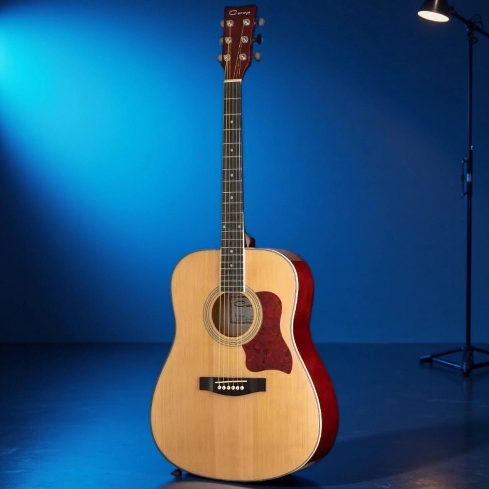 Акустическая гитара Caraya F640-N