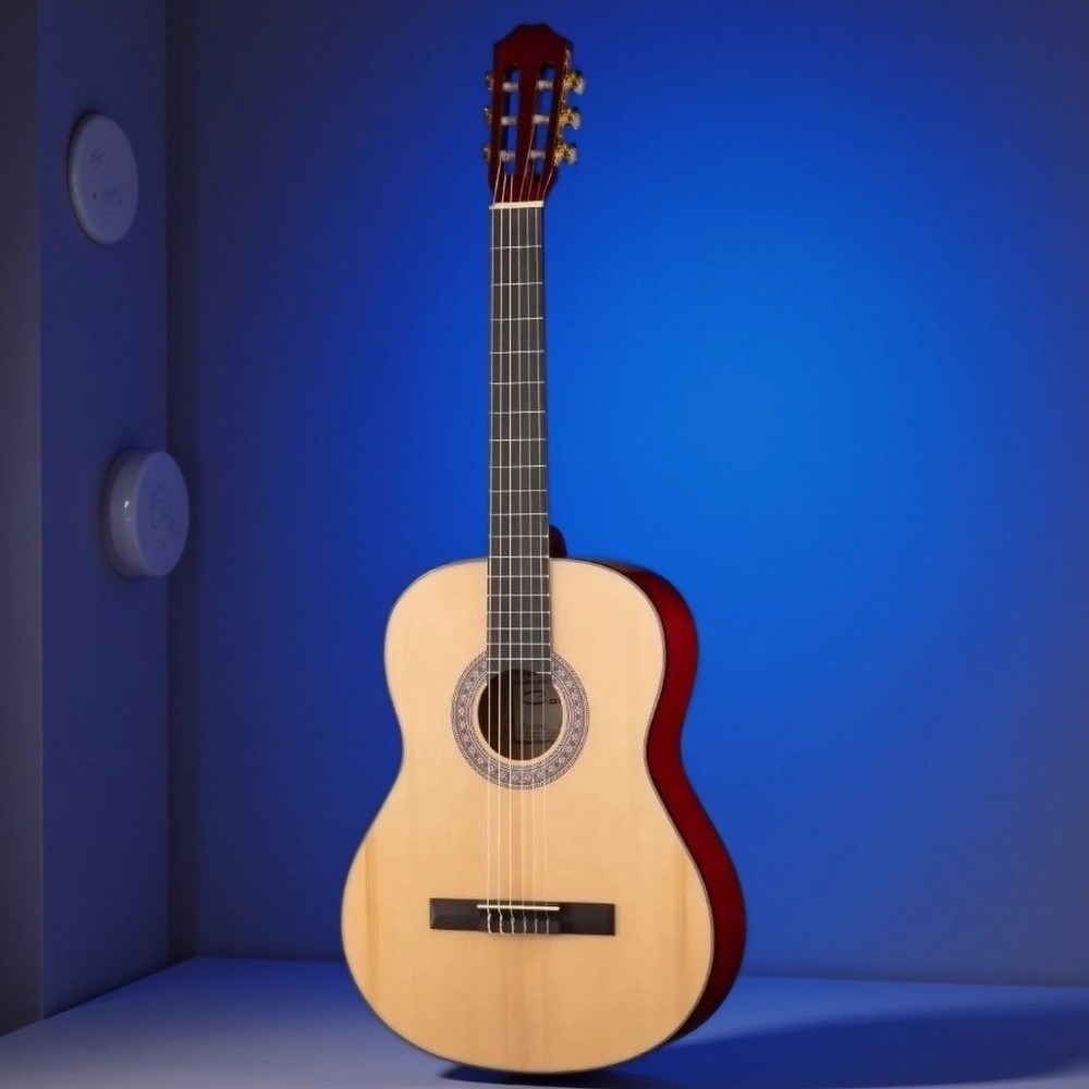 Классическая гитара Caraya C955-N