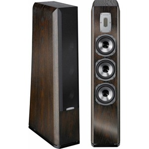Напольная акустика Quadral Aurum WOTAN VIII Oak Choco