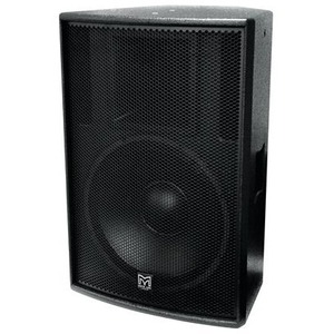 Пассивная AC MARTIN AUDIO X15+