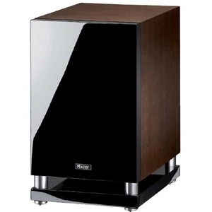Фазоинверторный сабвуфер Magnat Quantum Sub 731 A Black Piano/Mocca Veneer