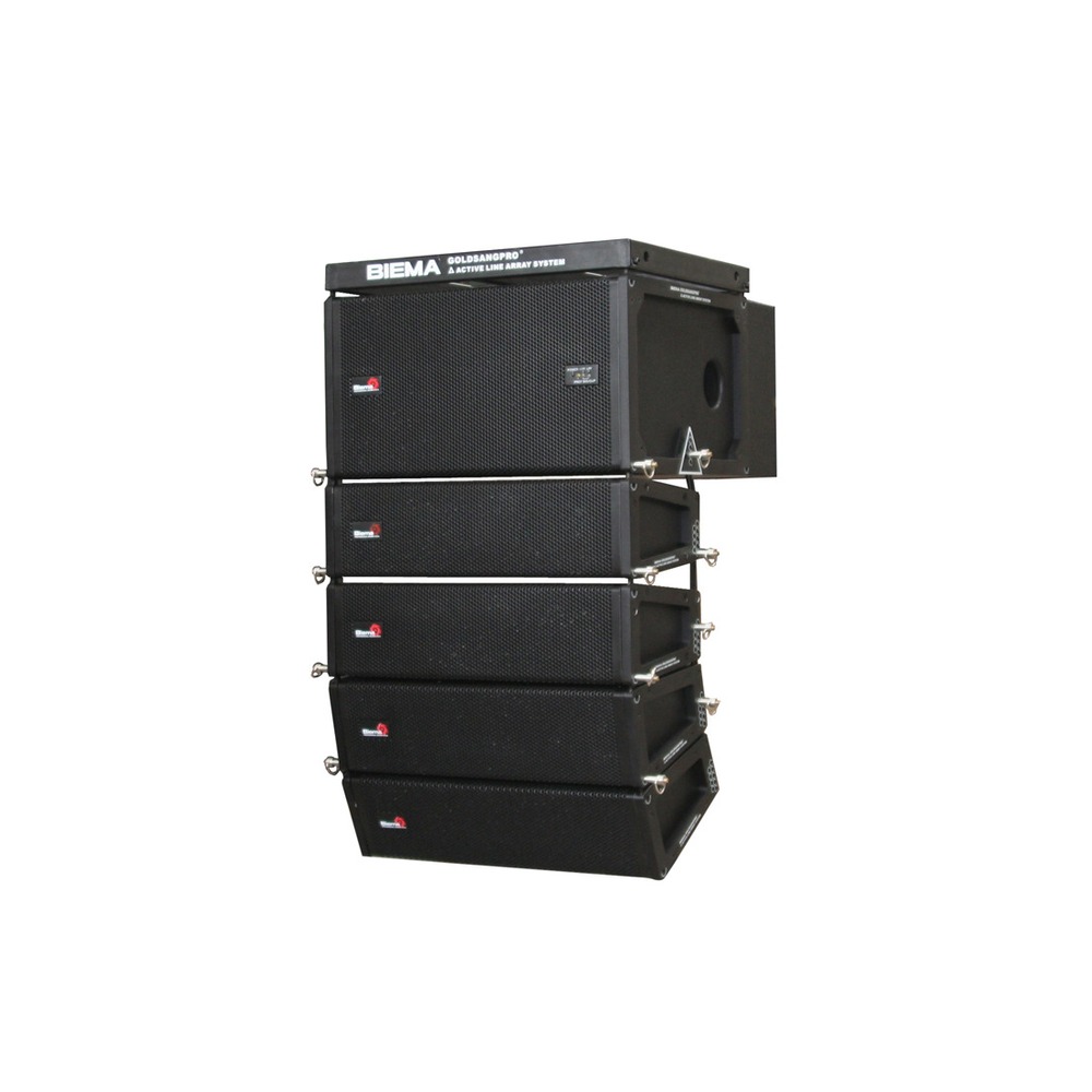Линейный массив Biema GOLDSANGPRO delta-III