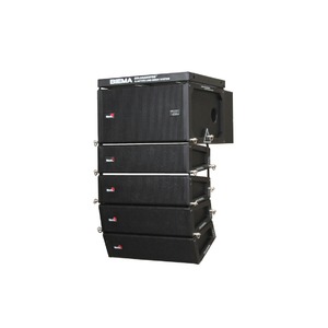 Линейный массив Biema GOLDSANGPRO delta-III