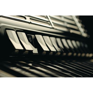 Аккордеон Hohner A2121 MORINO IV 120 C B/B-G Convertor B-System (Russian system)