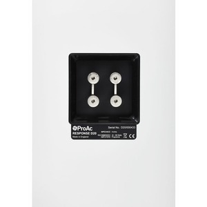 Напольная акустика ProAc Response D20R white