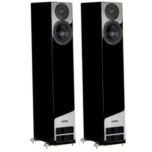 Напольная акустика PMC PMC Twenty5 23 Diamond Black