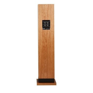 Напольная акустика ProAc Response D20 black ash