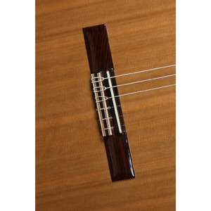 Классическая гитара Alhambra 8.806 Classical Student Iberia Ziricote